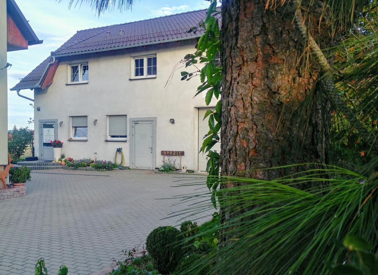 Ferienwohnung Lawendowa Galeria Krapkowice Exterior foto